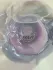 Christian Dior Pure Poison pic-47475