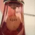 Davidoff Cool Water Sea Rose