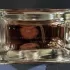 Dolce & Gabbana Anthology 3 L`Imperatrice