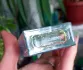 Dolce & Gabbana Light Blue Love is Love Pour Femme