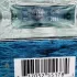 Dolce & Gabbana Light Blue Dreaming in Portofino pic-184935