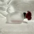 Dolce & Gabbana Dolce Rosa Excelsa