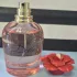 Dolce & Gabbana Dolce Rose