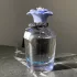 Dolce & Gabbana Dolce Blue Jasmine pic-45427