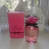 Dolce & Gabbana Dolce Rose