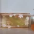 Elizabeth Arden Green Tea Nectarine Blossom pic-116158