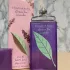 Elizabeth Arden Green Tea Lavender pic-133580