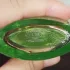 Elizabeth Arden Green Tea Lotus