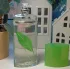 Elizabeth Arden Green Tea Summer pic-365559