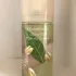 Elizabeth Arden Green Tea Pistachio Crunch pic-383007