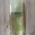 Elizabeth Arden Green Tea Lotus pic-41320