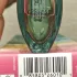 Elizabeth Arden Green Tea Coconut Breeze