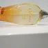 Escada Taj Sunset pic-179062