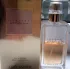 Estee Lauder Tuscany Per Donna 2015 pic-103989