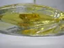 Estee Lauder Beautiful Belle pic-205728