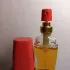Estee Lauder Beautiful pic-210092