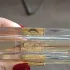 Estee Lauder Private Collection Tuberose Gardenia pic-364880