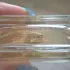 Estee Lauder Bronze Goddess Eau Fraiche 2019 pic-369131