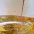 Estee Lauder Beautiful Belle pic-70459