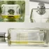 Angel Schlesser Eau Fraiche Citrus Pomelo pic-366468