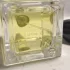 Giorgio Armani Prive Orangerie Venise pic-111491