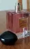 Giorgio Armani Prive Rose Alexandrie pic-179897