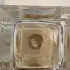 Giorgio Armani Prive Gardenia Antigua