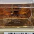 Givenchy Dahlia Divin Le Nectar de Parfum