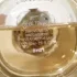 Givenchy L`interdit Eau de Toilette