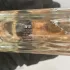 Givenchy Irresistible Eau de Toilette Fraiche pic-331971