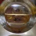 Givenchy Amarige