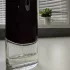 Givenchy Pour Homme