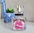 Givenchy Very Irresistible Rose Centifolia 2009 pic-79461