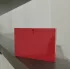 Gucci Rush