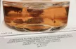 Guerlain Terracotta Le Parfum