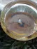 Guerlain Aqua Allegoria Jasminora pic-10685
