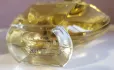 Guerlain Shalimar Philtre de Parfum pic-141834