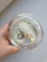 Guerlain Aqua Allegoria Pamplelune
