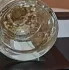 Guerlain Aqua Allegoria Herba Fresca pic-155500