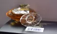 Guerlain Shalimar pic-209173