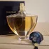 Guerlain Shalimar
