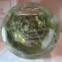 Guerlain Aqua Allegoria Teazzurra