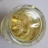 Guerlain Aqua Allegoria Mentafollia pic-226203