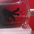 Guerlain La Petite Robe Noire Eau de Parfum Intense pic-252680
