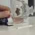 Guerlain Shalimar Millesime Rose