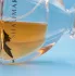 Guerlain Shalimar