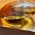 Guerlain Mahora pic-338453