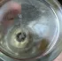 Guerlain Aqua Allegoria Tiare Mimosa