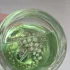 Guerlain Aqua Allegoria Rosa Verde