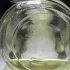 Guerlain Aqua Allegoria Herba Fresca